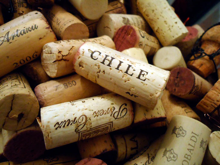 Melhores vinhos chilenos